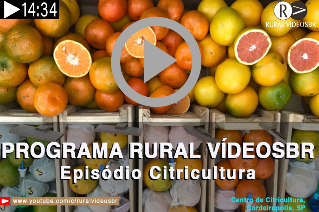  O Programa Rural Vídeos Br traz nessa edição o tema CITRICULTURA. Clique na imagem acima para assistir o episódio do Programa Rural Vídeos Br