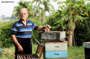 Messias Haman iniciou-se na apicultura em 1960